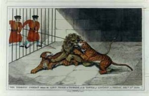 menagerie tower of london