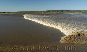 severn bore 4