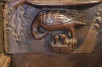 pelican misericord