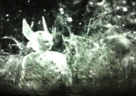 first fairy with puck