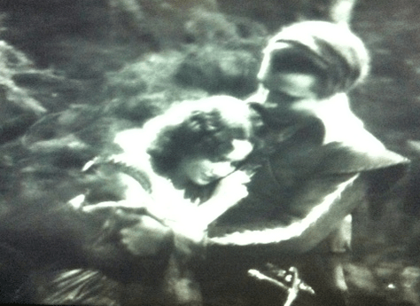 hermia lysander wood