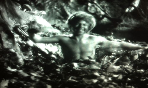 puck emerging from ground