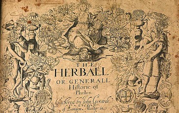 gerard herball clear (2)